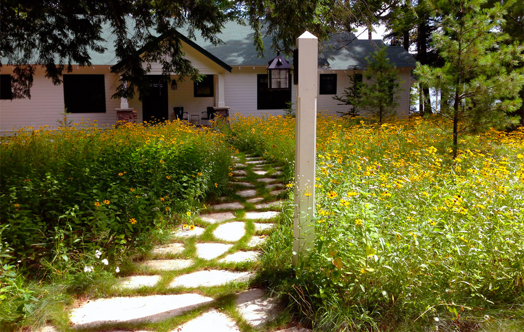 Wildflowers and Natural Lawns